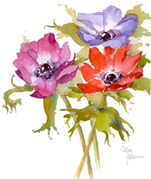 Anemones III